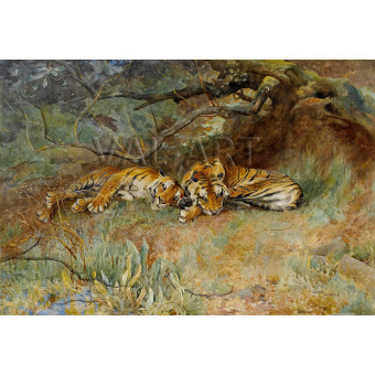 РЕПРОДУКЦИИ НА КАРТИНИ Два тигъра в покой (1901)